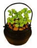 Four leaf clovers in a rustic basket bda1035