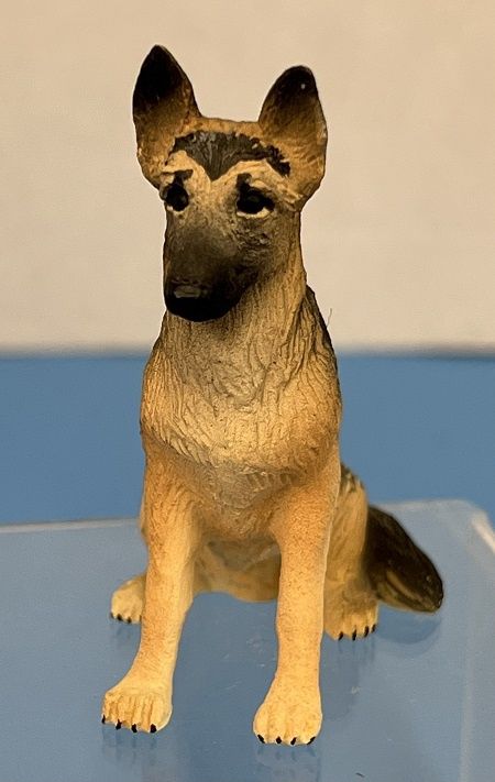 German Shepherd ala624