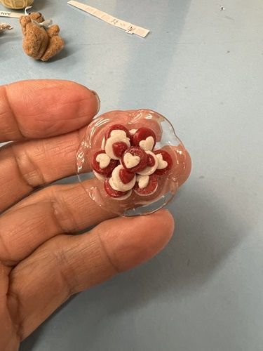 Glass Platter of Heart Cookies mn124
