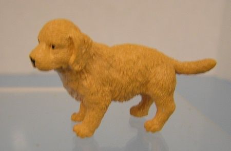 Golden Retriever Standing mc05293-1