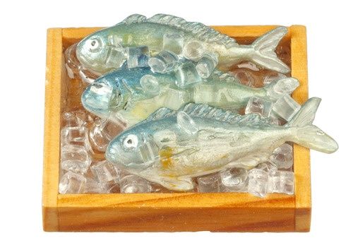 Fresh Fish on Ice G7534