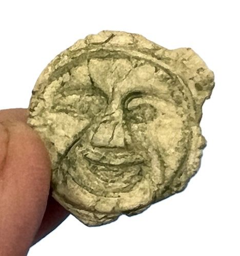 Garden Face for Wall cn0263
