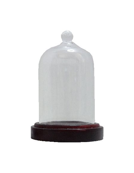 Glass Dome with Handle and Wood Base sc23
