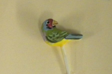 Gouldian Finch 429FNashshow11