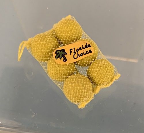 Grapefruits in Mesh Bag mc031304
