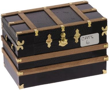 Flat Top Trunk Kit cats6