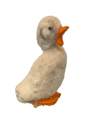 Flocked Duck mn238