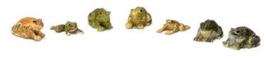 Frogs, Set of 7 fca725