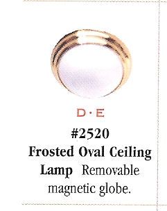 Frosted Oval Ceiling Lamp HW2520
