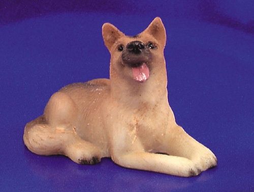 German Shepherd IM65284