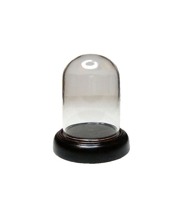 Glass Dome Display on Wood Base bdsc020