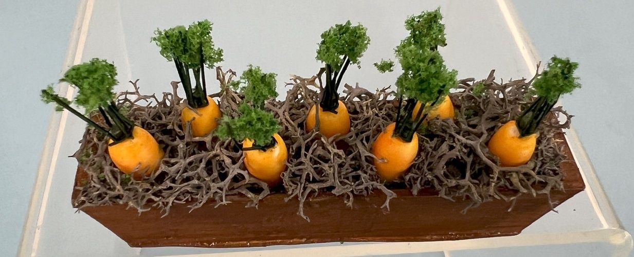 Flower Box Full of Carrots by Joey Casey jccarrots