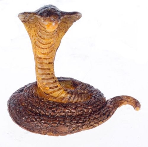 Forest Cobra A3381