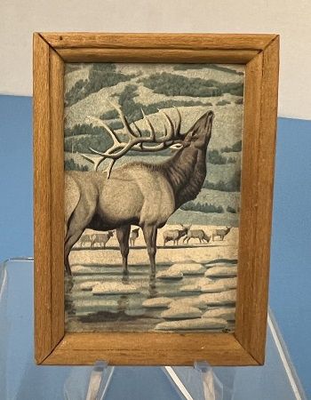 Framed print of an Elk ala749