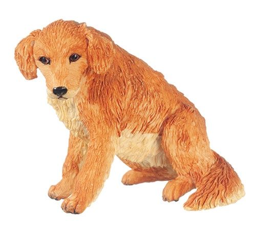 Golden Retriever aza6022