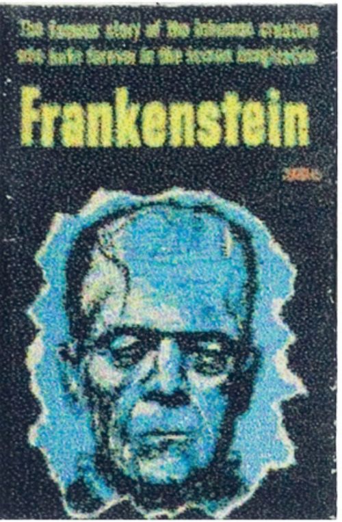 Frankenstein TIN3077
