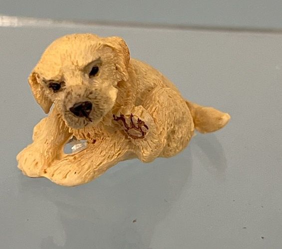 Golden Puppy Scratching Himself mc031254