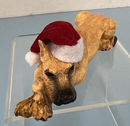 Great Dane waiting for Santa mc928