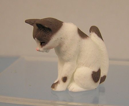 Gray and White Cat mc05289