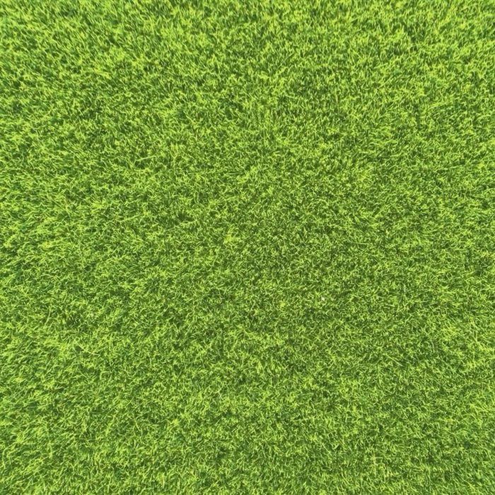 Grass Lawn DIY2011