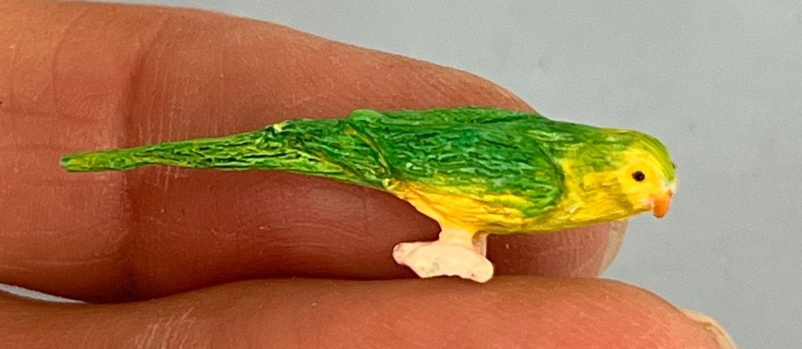 Green and Yellow Parrot mc031023