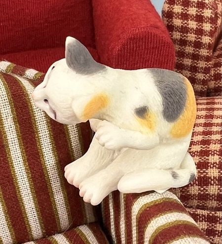 Grey and Yellow Cat mc05295-1