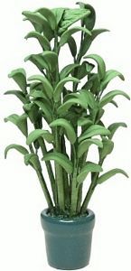 House Plant in Green Pot BDa1085