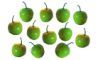 Green Apples bdp047
