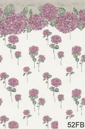 Hydrangea Rose 52FB wal52fb