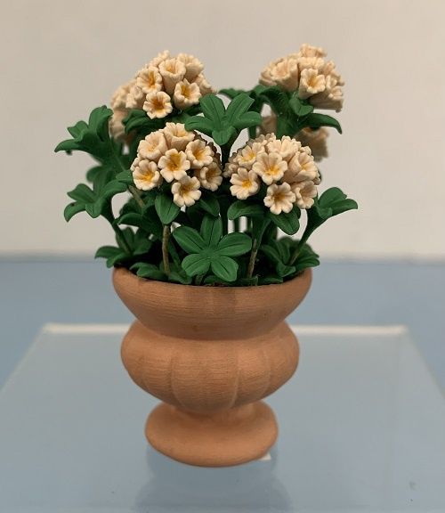 Hydrangeas in Clay Pot mc05224