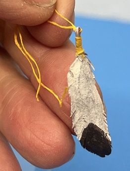 Indian Man Feather cn828x
