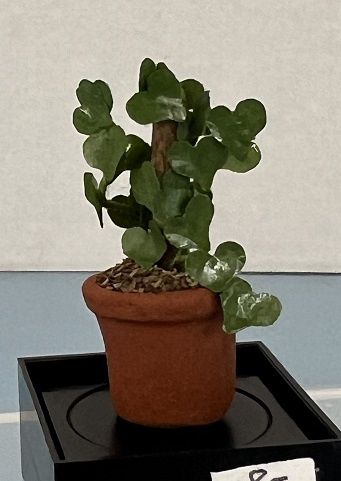 Ivy Growing on Post 1 mc144x