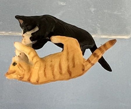 Kittens playing a1630