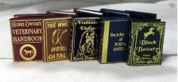 NI155 Horse Lovers Books set/5