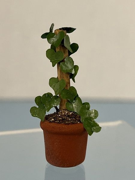 Ivy Growing on Post 2 mc142x