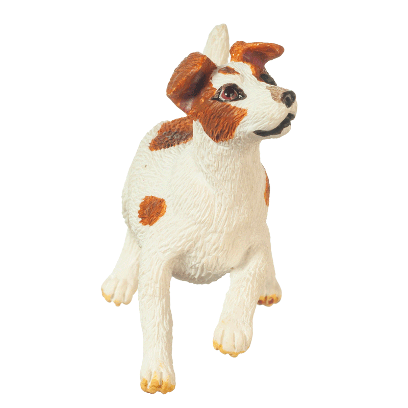 AZA6035 JACK RUSSELL TERRIER