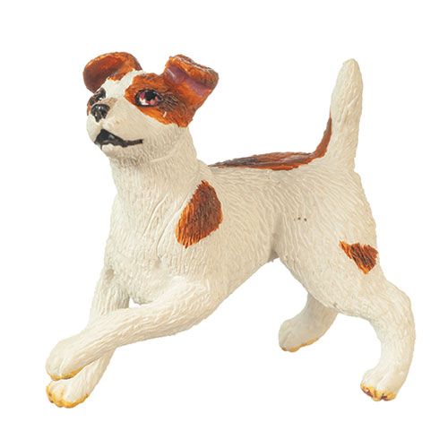 AZA6035 JACK RUSSELL TERRIER