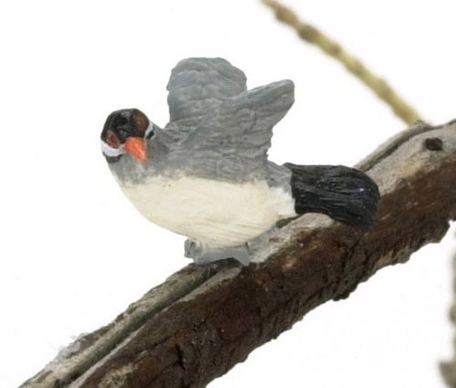 Java Sparrow FCA1870