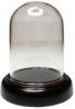 Large Dome on Wooden Base bdsc022