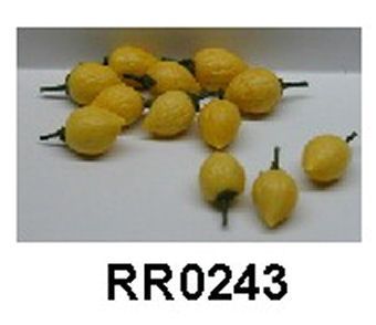 Lemons (12) RR0243