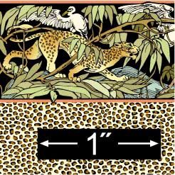 Leopard BPHAN100
