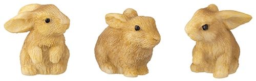 Large Rabbits azb226