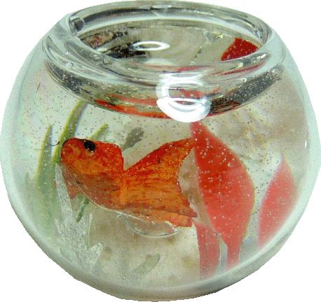Large Fish Bowl mw025