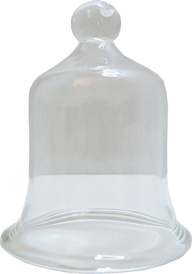 Large Glass Display Bell sc28
