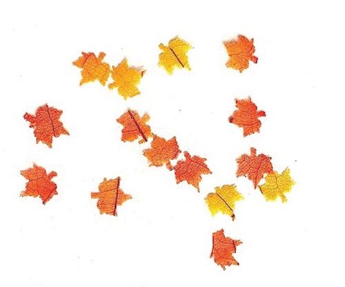 Leaves, Approx 50 cld302