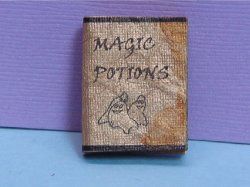 Magic Potions Book jo87006
