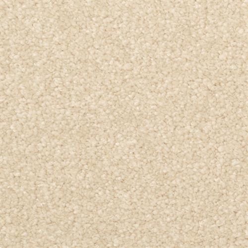 Light Tan Carpet 20" x 14" mc347xa