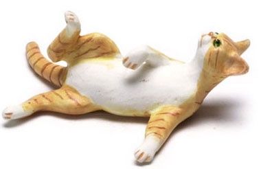 Looking Up Cat Orange A67OR