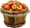 Macintosh Apples in a Bushel Basket bdf1035