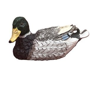 Mallard Duck One cn439